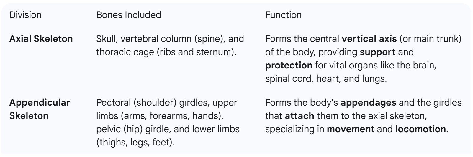 the axial skeleton is the part that forms the central core or main trunk of the body.